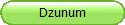 Dzunum